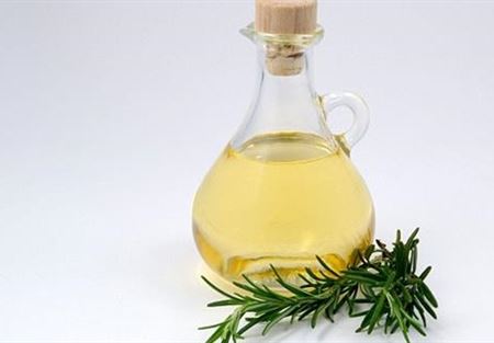 شاي النعناع يقوي الذاكرة والبابونج يبطئه شاي النعناع يقوي الذاكرة والبابونج يبطئه