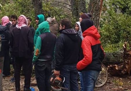 تضرّر أكثر من 200 شجرة في عكار