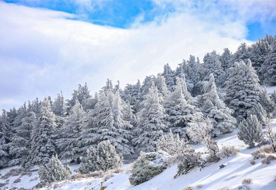 الطرقات المقطوعة صباحاً الطرقات المقطوعة صباحاً