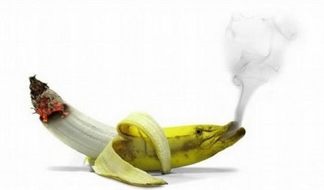ديموقراطية الموز في لبنان 
