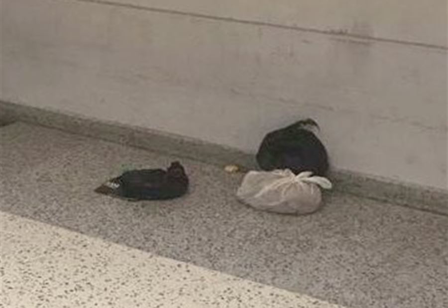 بالصور: مشاهد مقززة من داخل المطار "بعدسة نائب"