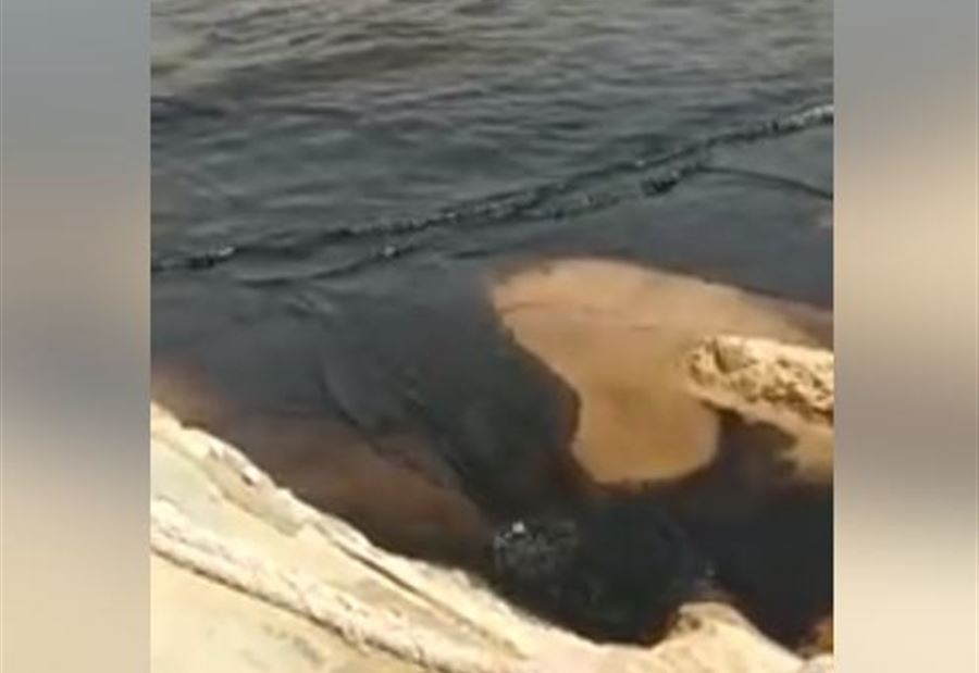 بالفيديو: كارثة بيئية على شاطىء جدرا