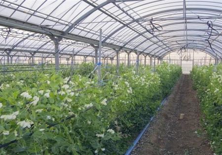 أول مصنع لامتصاص CO2 من الجو