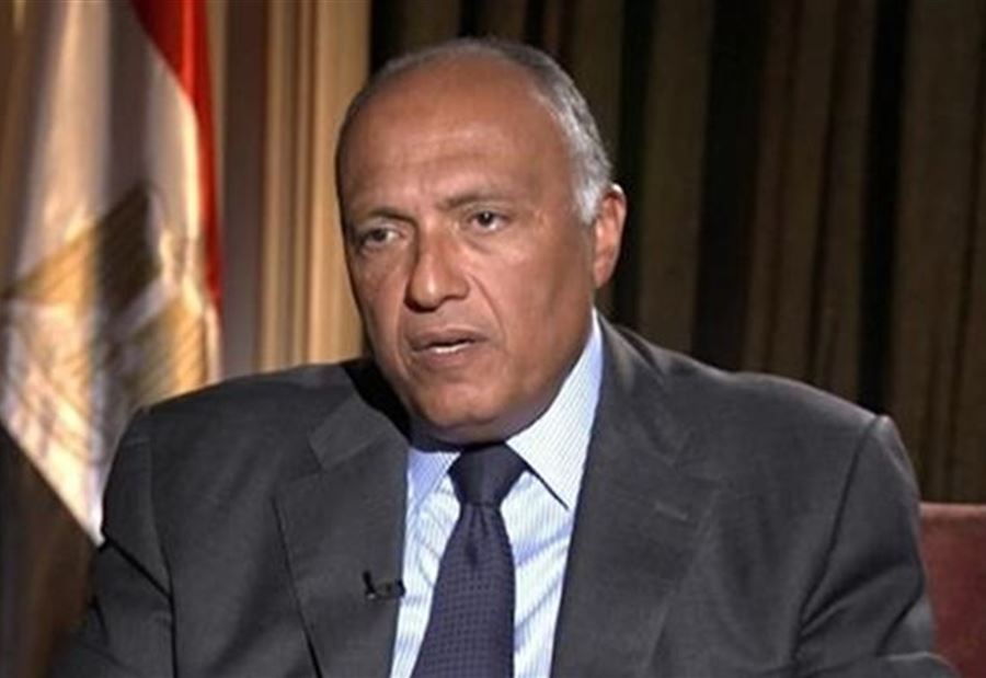بري بحث ووزير خارجية مصر العلاقات