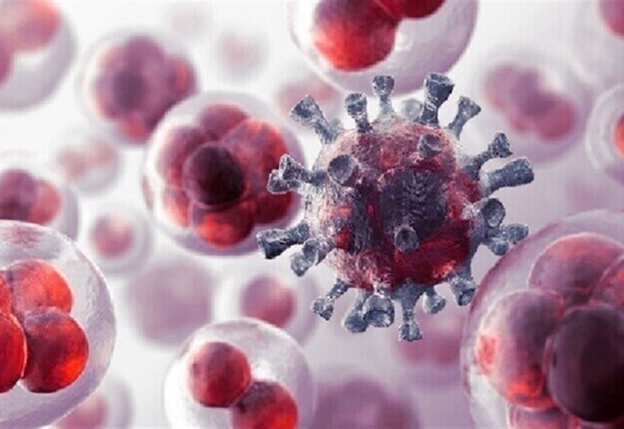 مادتان غذائيتان تزيدان من خطر الإصابة بالسرطان