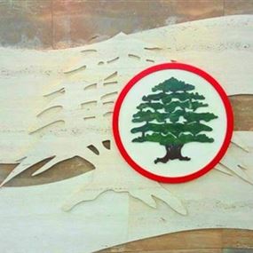 "القوات": لن ندخل في أي عملية تدمير ذاتي "القوات": لن ندخل في أي عملية تدمير ذاتي