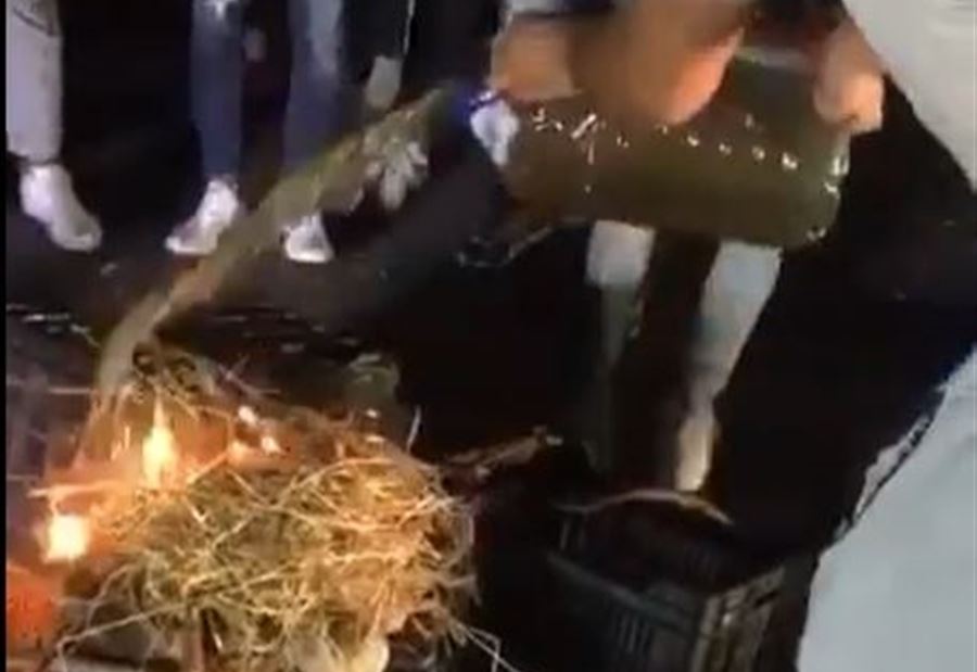 المازوت الإيراني "يُوترّ" غريفة الشوف... "لا بيرحموا ولا بخلوا رحمة الله تنزل" (فيديو)