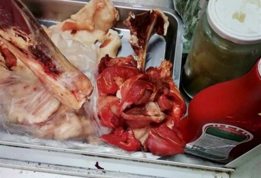 بلدية الشويفات تضبط محلاً لبيع اللحوم والدجاج الفاسد بلدية الشويفات تضبط محلاً لبيع اللحوم والدجاج الفاسد