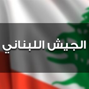 الجيش: إخماد حريق في خراج حرش قلحات والخردلي