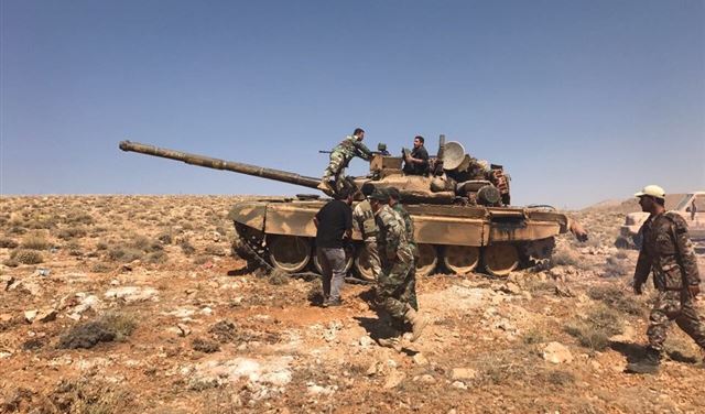 يومٌ مع المجاهدين.. "عن نجاة التلي وخجل المشمش" يومٌ مع المجاهدين.. "عن نجاة التلي وخجل المشمش"