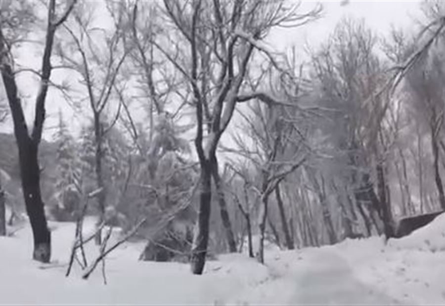 بالفيديو: جبال لبنان مكللة بالأبيض بالفيديو: جبال لبنان مكللة بالأبيض