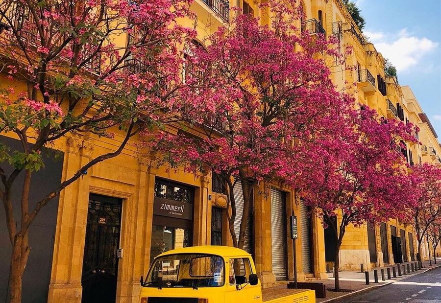 إليكم طقس اليومَيْن المقبِلَيْن...