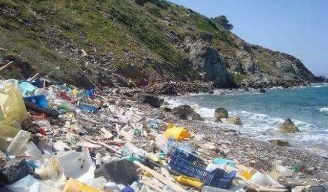 شاطئ لبنان يئنُّ من التلوث! شاطئ لبنان يئنُّ من التلوث!