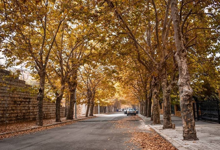 طقس خريفي متقلب يسيطر على لبنان!