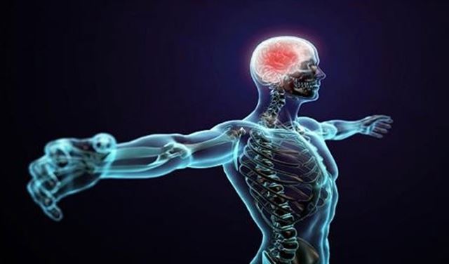 10 أعضاء في الجسم لا تعرف أنك تملكها!