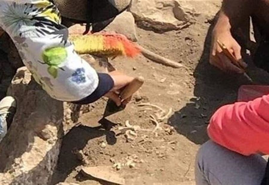 اكتشاف عظام طفل عمره 7200 سنة قبل الميلاد في بعلبك؟