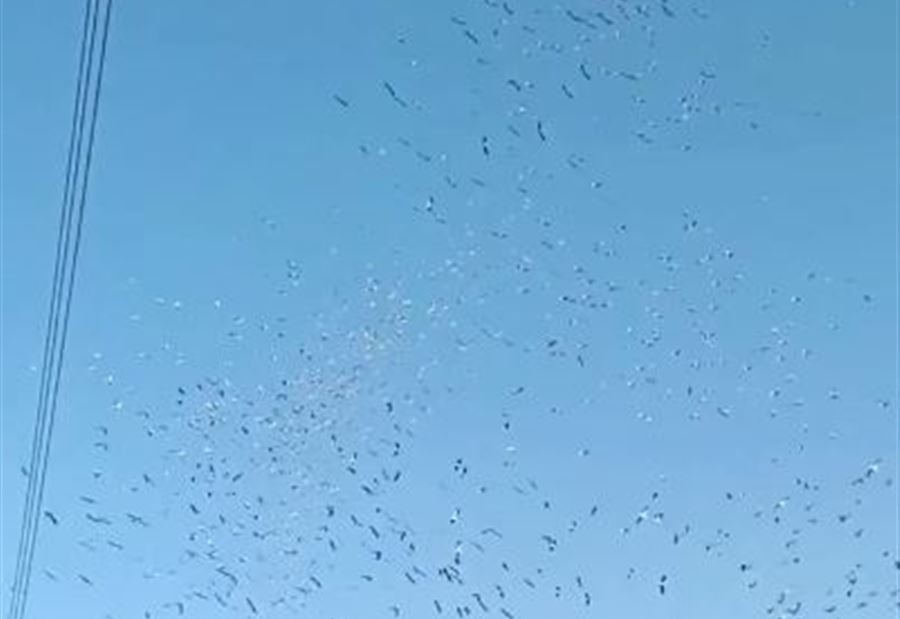 بالأسلحة الرشاشة... "مجزرة" في سماء قبعيت العكارية! (فيديو)