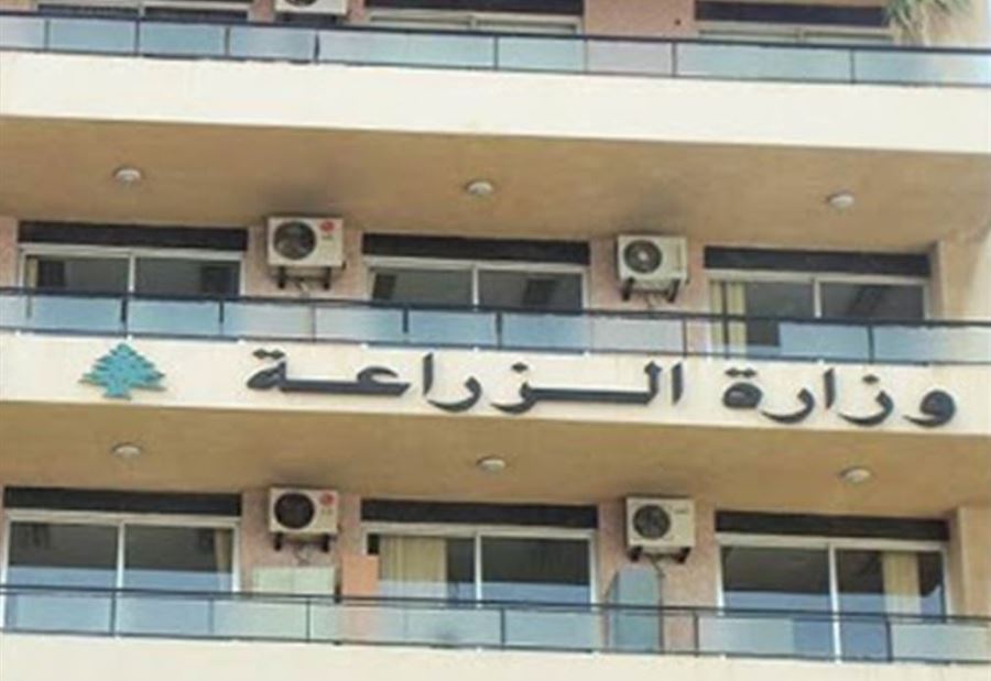 "الزراعة" تدعو لحصر الأضرار الزراعية جراء العدوان الإسرائيلي