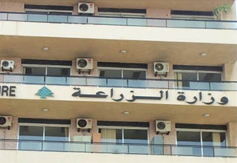 توضيح من "الزراعة" عن كيفية مكافحة آفتي السونا والصدأ الأصفر