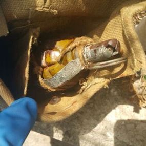 تفجير رمانة يدوية بسن الفيل