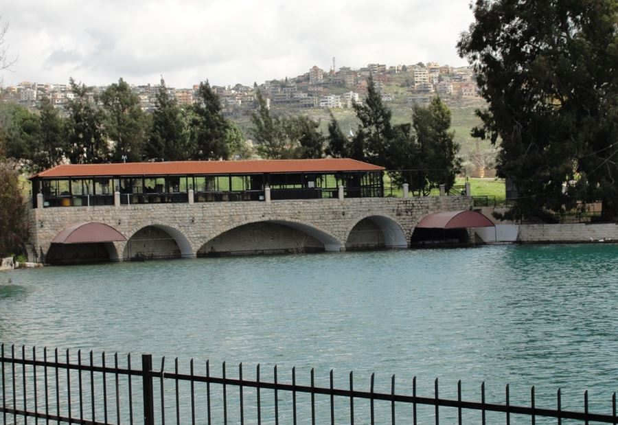 نفوق أسماك في بركة الدردارة بالخيام و الزراعة تتدخل