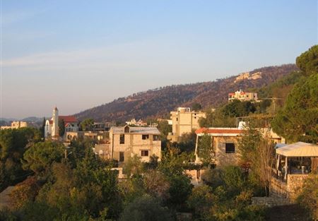 الجماعة الإسلامية: المعتدون على كنيسة الدبية يريدون الفتنة الجماعة الإسلامية: المعتدون على كنيسة الدبية يريدون الفتنة