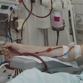 حكومَة غَسيلِ الكِلَى