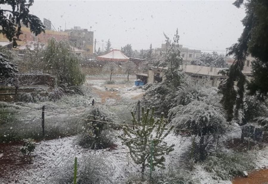 سماكة الثلوج بلغت 40 سنتم بقاعاً  سماكة الثلوج بلغت 40 سنتم بقاعاً