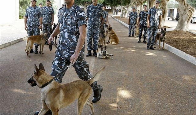 تقارير تحذّر من...! تقارير تحذّر من...!