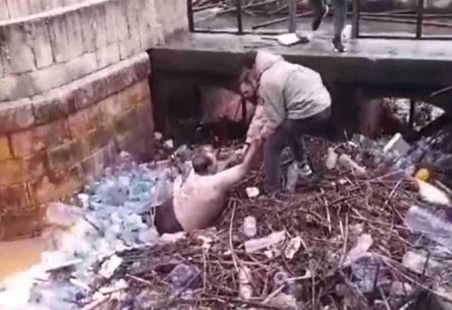بعد أن سحبته المياه ... فريق الإسعاف يقوم بإنقاذه (فيديو)