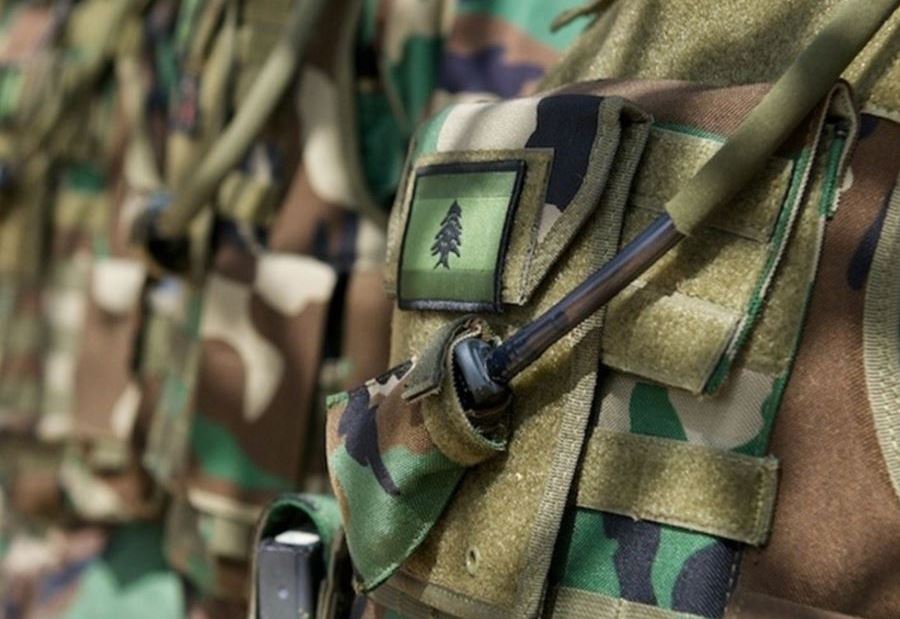 توقيف 8 أشخاص في الضاحية الجنوبية 