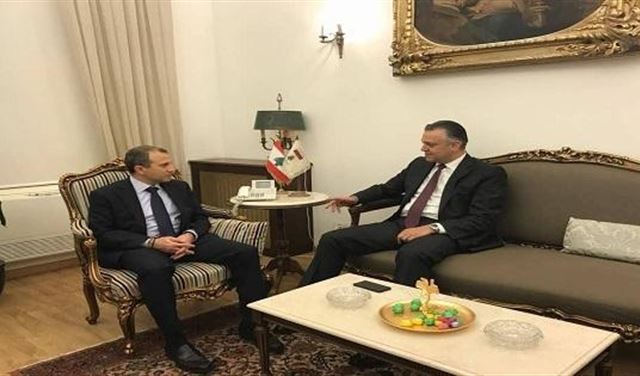 باسيل "غير مغرم" بحبيش