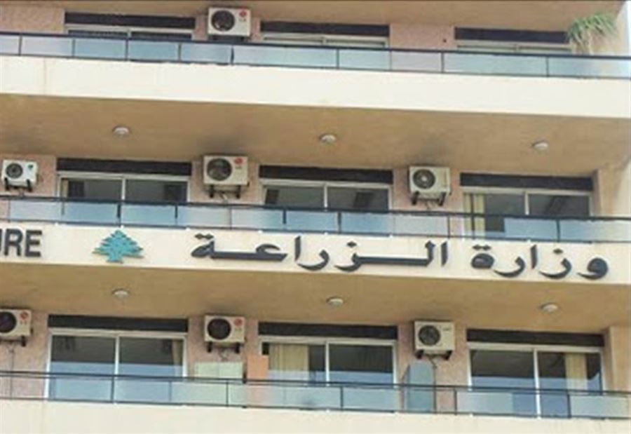 بشأن أسعار الجملة... بيان من "الزراعة"