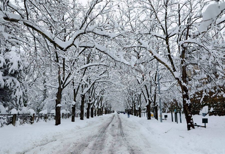 لبنان تحت تأثير "فرح"... إليكم حالُ الطرقات الجبليّة اليوم!