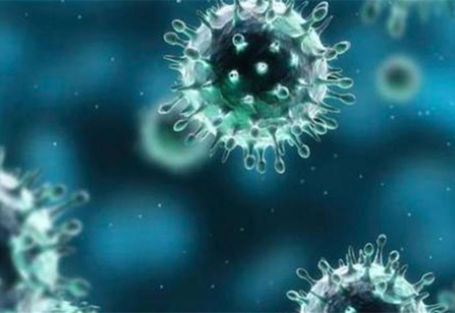 الصحة العالمية تعترف بالخطأ حول طرق انتقال "كورونا" الصحة العالمية تعترف بالخطأ حول طرق انتقال "كورونا"