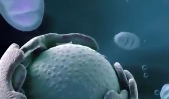 إنبات جنين بالمختبر لم يعد بعيداً   إنبات جنين بالمختبر لم يعد بعيداً