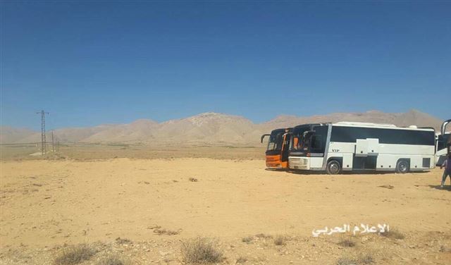 بالفيديو..هذه هي الحافلات التي ستقل مسلحي"داعش"