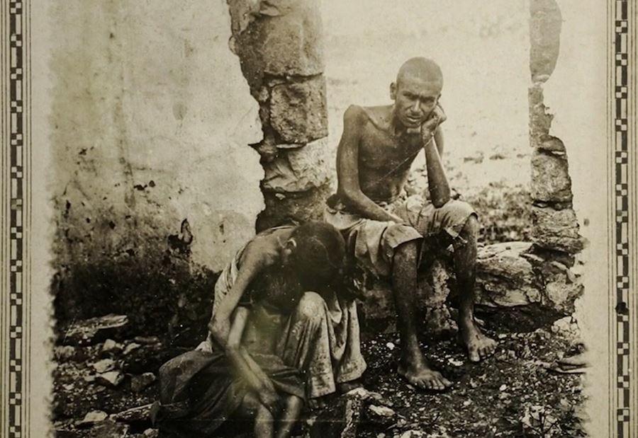 الجراد سيستقر في لبنان بهذه الحالة.. هل يتكرّر سيناريو 1915? (فيديو)