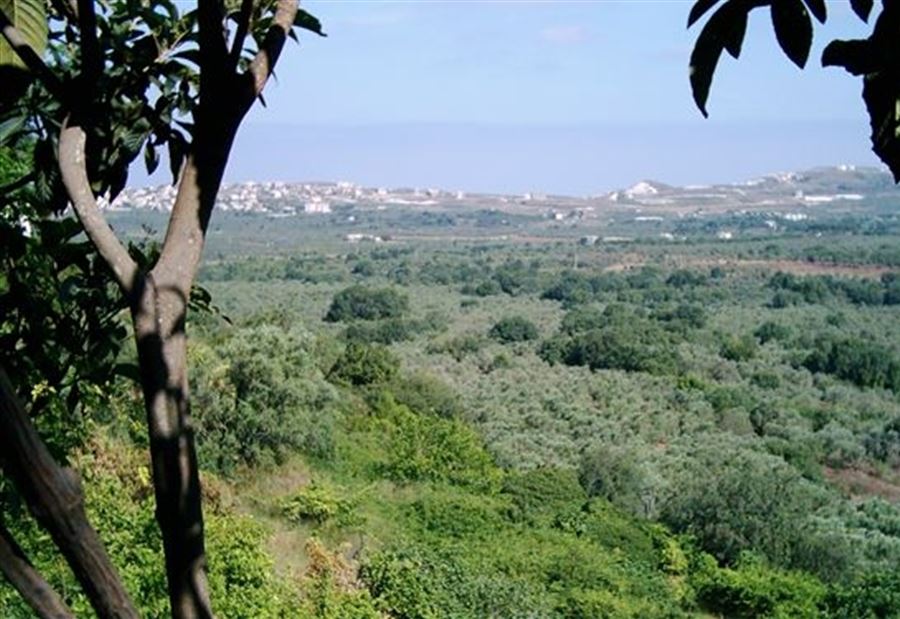 بلدة تعاني أزمة مياه