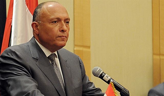 شكري: مصر مهتمة بالوضع في لبنان