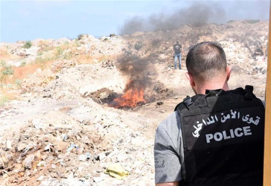 بالصور: تلف 205 كلغ من "الحشيشة" في صيدا!