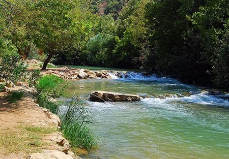 بلدية بر الياس: لايجاد حل فوري لازمة تلوث نهر الليطاني