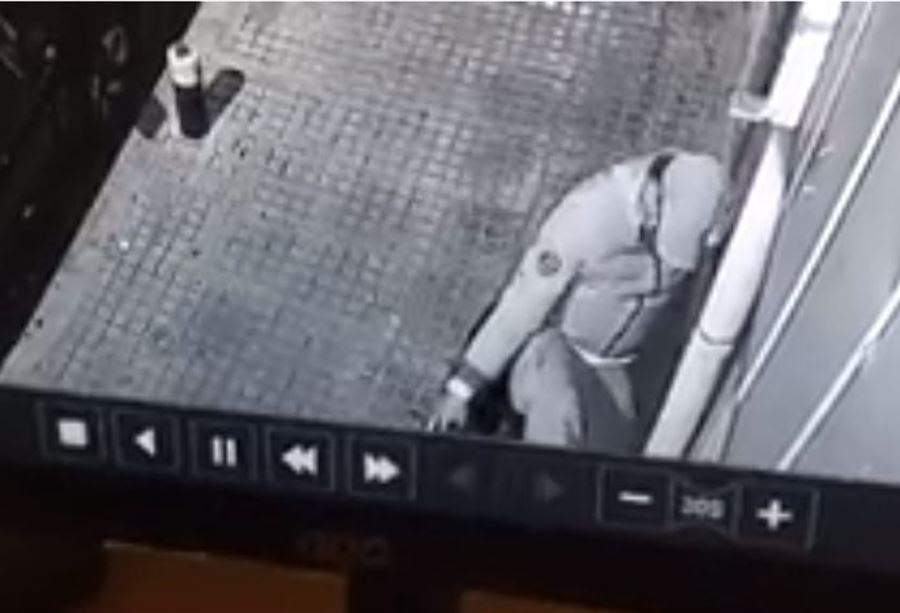  بالفيديو: القبض على "سارق" في كرم الزيتون