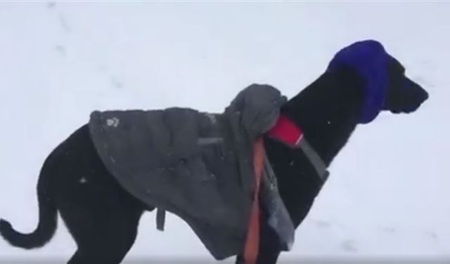 من الغبيري إلى بوسطن 