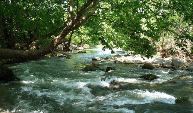 العثور على جثة في نهر الحاصباني