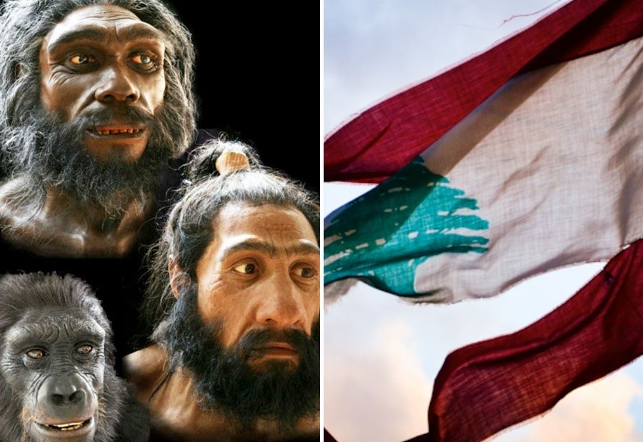 موزَةٌ للقِرد يا تشارلز