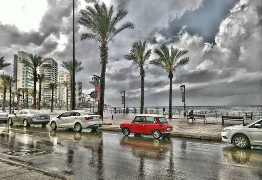 الأمطار تعود غدًا 