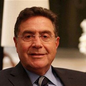 تويني: يمكن الطعن بأي قرار وزاري يخرق تصريف الأعمال