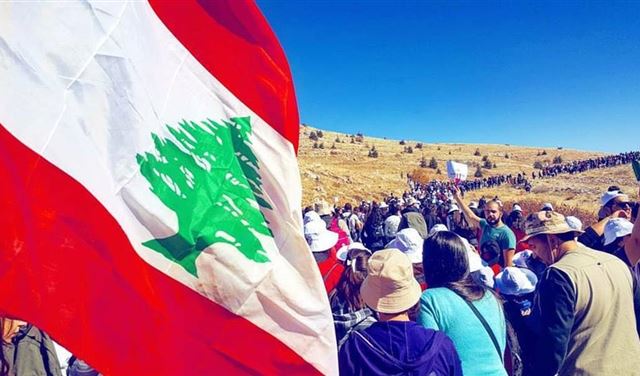 خمسة آلاف غرسة أرز جديدة.. #لتضل_عالعلم