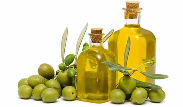 زيت الزيتون يقي من سرطان المخ